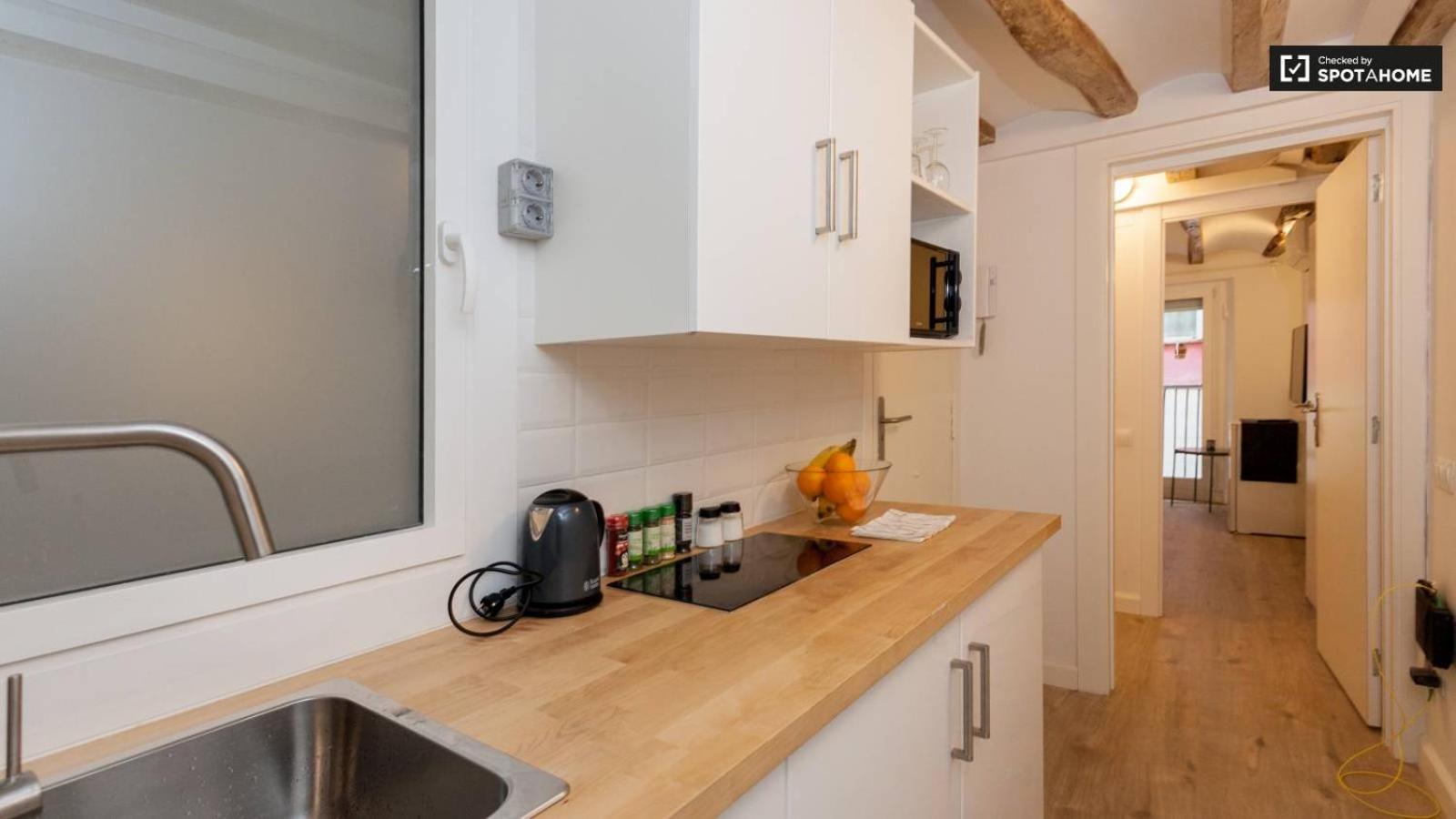 Soho Design Studios Ramblas Apartment *